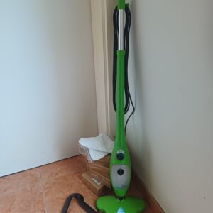 Parni čistilec